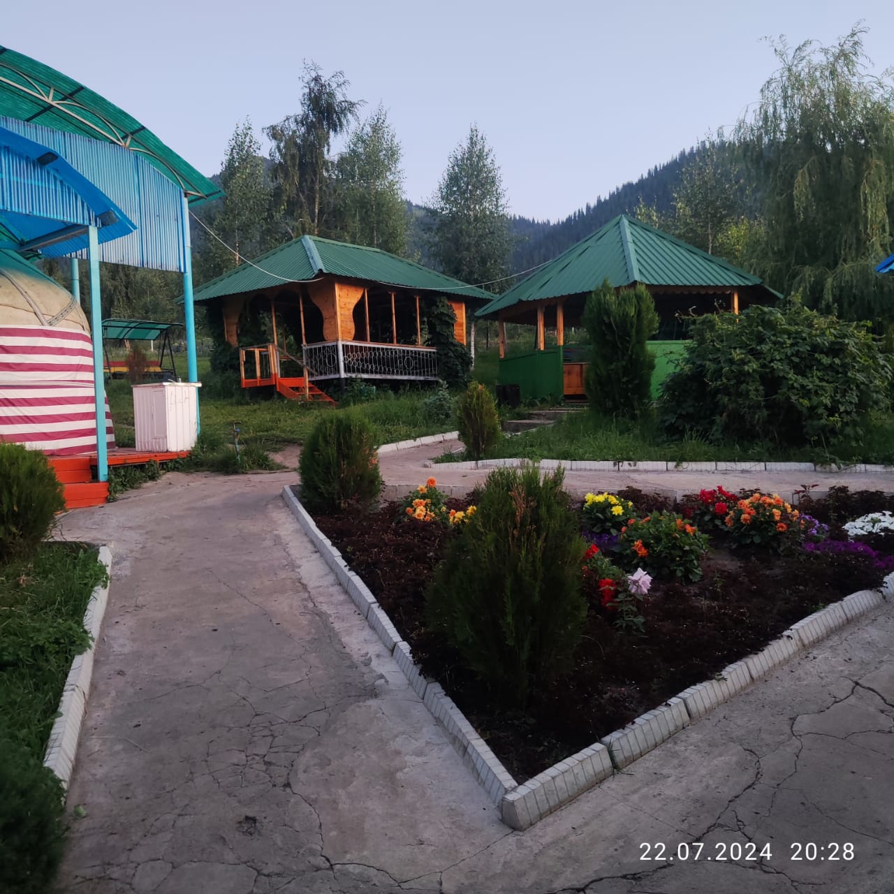 Бакдоолот